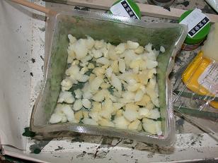 ���b�N�V�b�v�E�J���^�[�r��