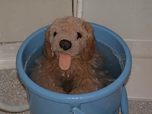 ���b�N�V�b�v�E�J���^�[�r��