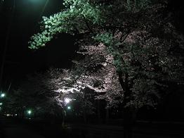 ���b�N�V�b�v�E�J���^�[�r��