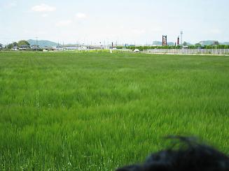 ���b�N�V�b�v�E�J���^�[�r��