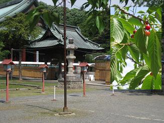 ���b�N�V�b�v�E�J���^�[�r��