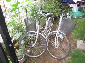 ���b�N�V�b�v�E�J���^�[�r��