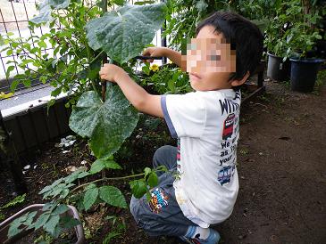 ���b�N�V�b�v�E�J���^�[�r��