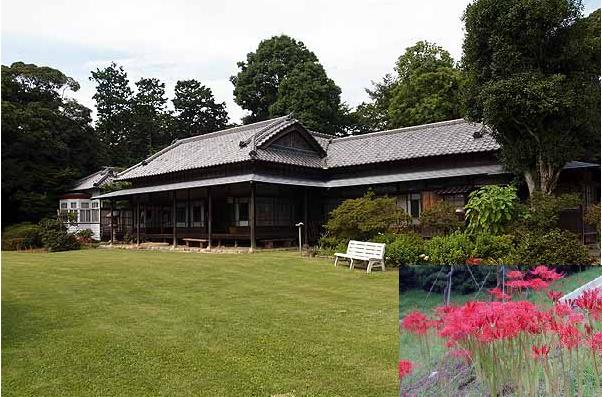 ���b�N�V�b�v�E�J���^�[�r��