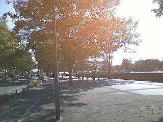 ���b�N�V�b�v�E�J���^�[�r��