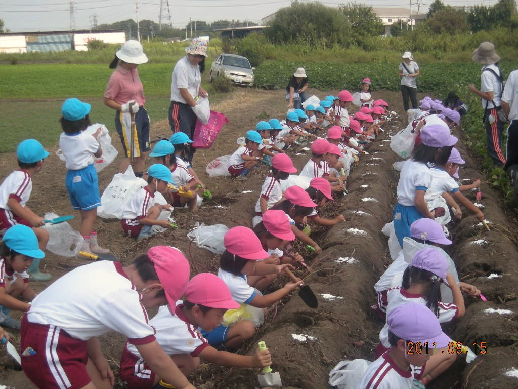 �����灕�����̓k�R���L