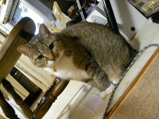 �˂��˂��ɂ�