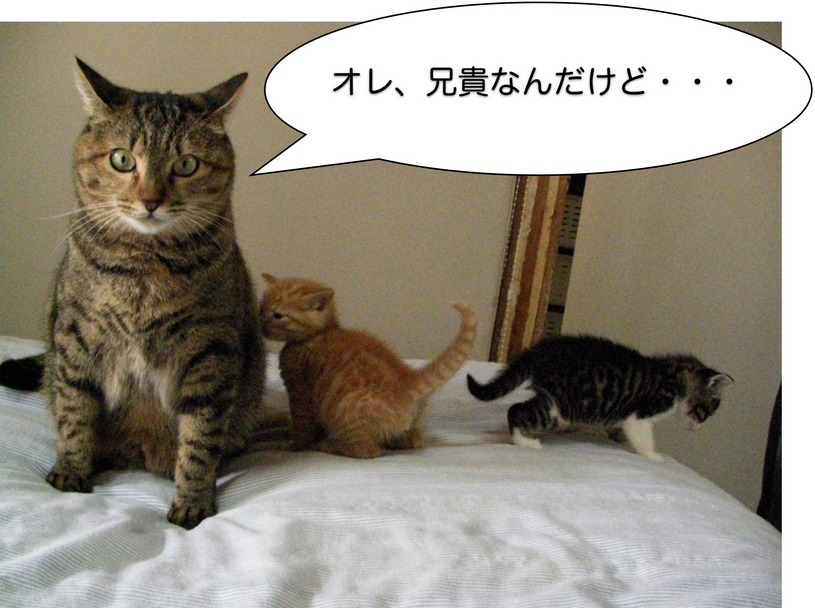 �˂��˂��ɂ�