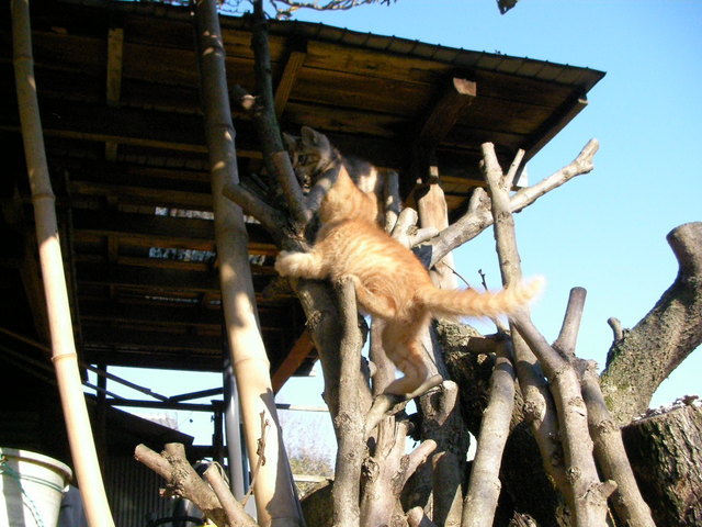 �˂��˂��ɂ�