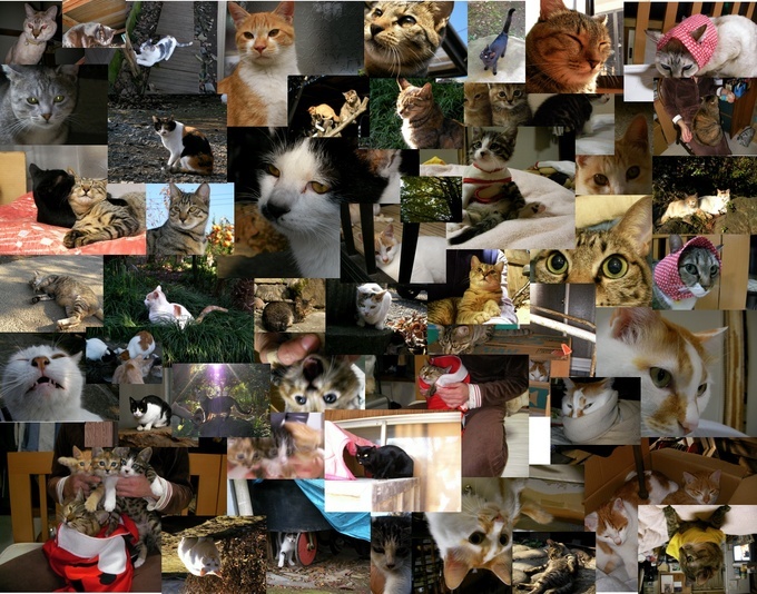 �˂��˂��ɂ�