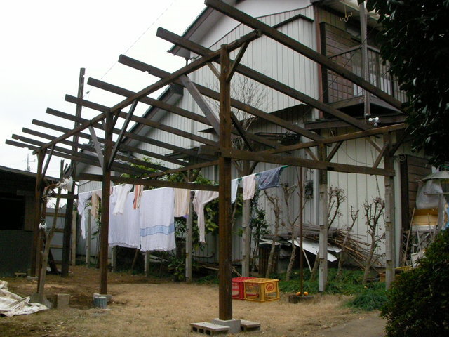 �˂��˂��ɂ�