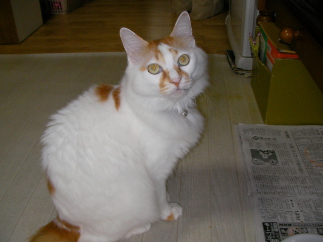 �˂��˂��ɂ�