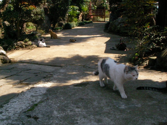 �˂��˂��ɂ�