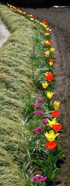 �˂��˂��ɂ�