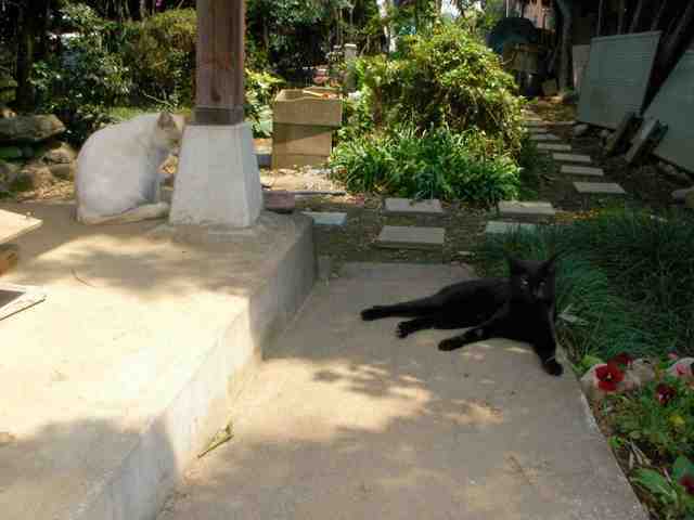 �˂��˂��ɂ�