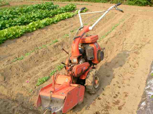 �˂��˂��ɂ�