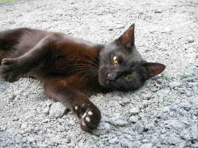 �˂��˂��ɂ�