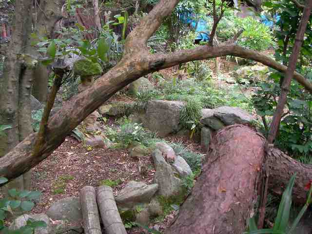 �˂��˂��ɂ�