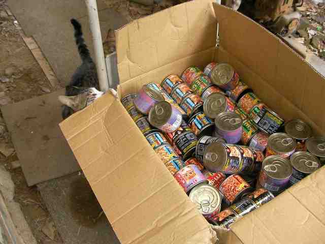 �˂��˂��ɂ�