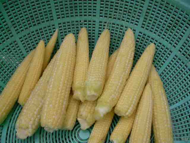 �˂��˂��ɂ�