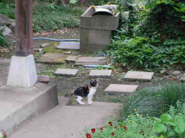 �˂��˂��ɂ�