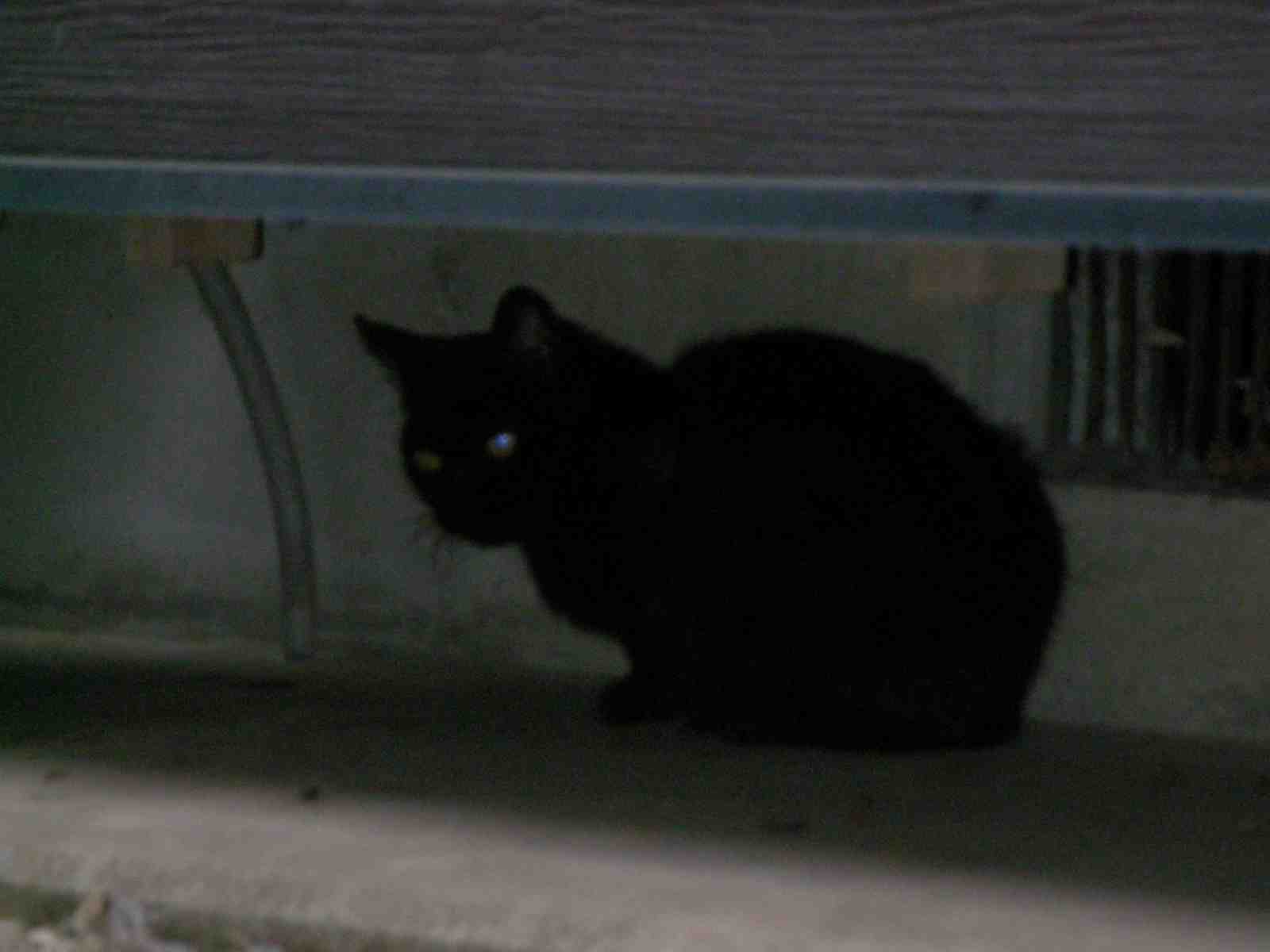 �˂��˂��ɂ�