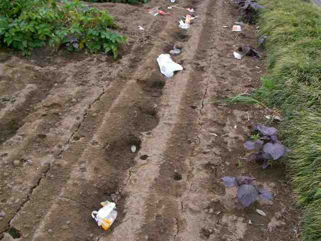 �˂��˂��ɂ�