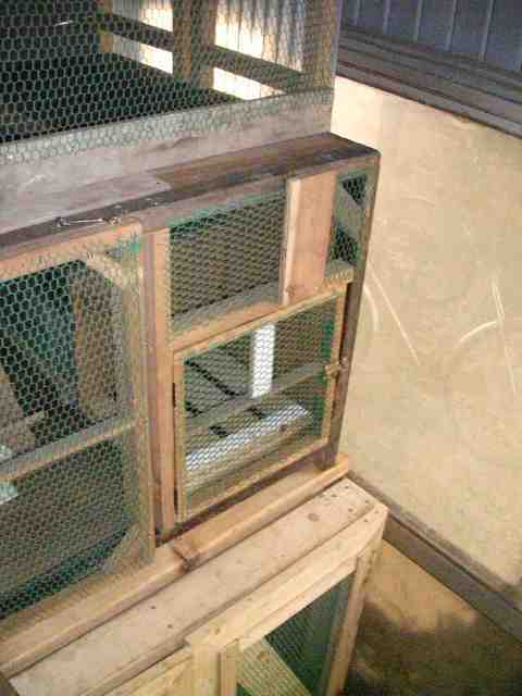 �˂��˂��ɂ�