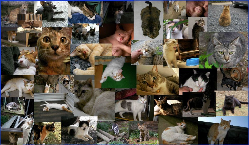 �˂��˂��ɂ�