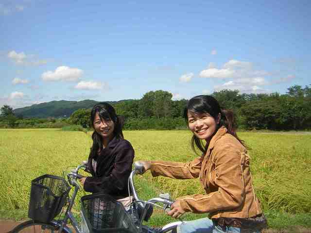 �˂��˂��ɂ�