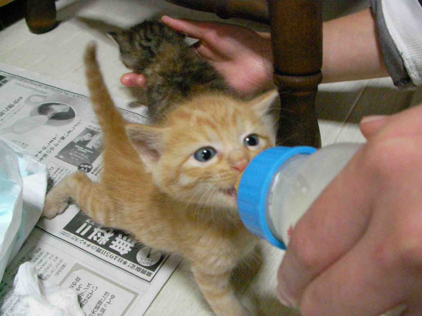 �˂��˂��ɂ�