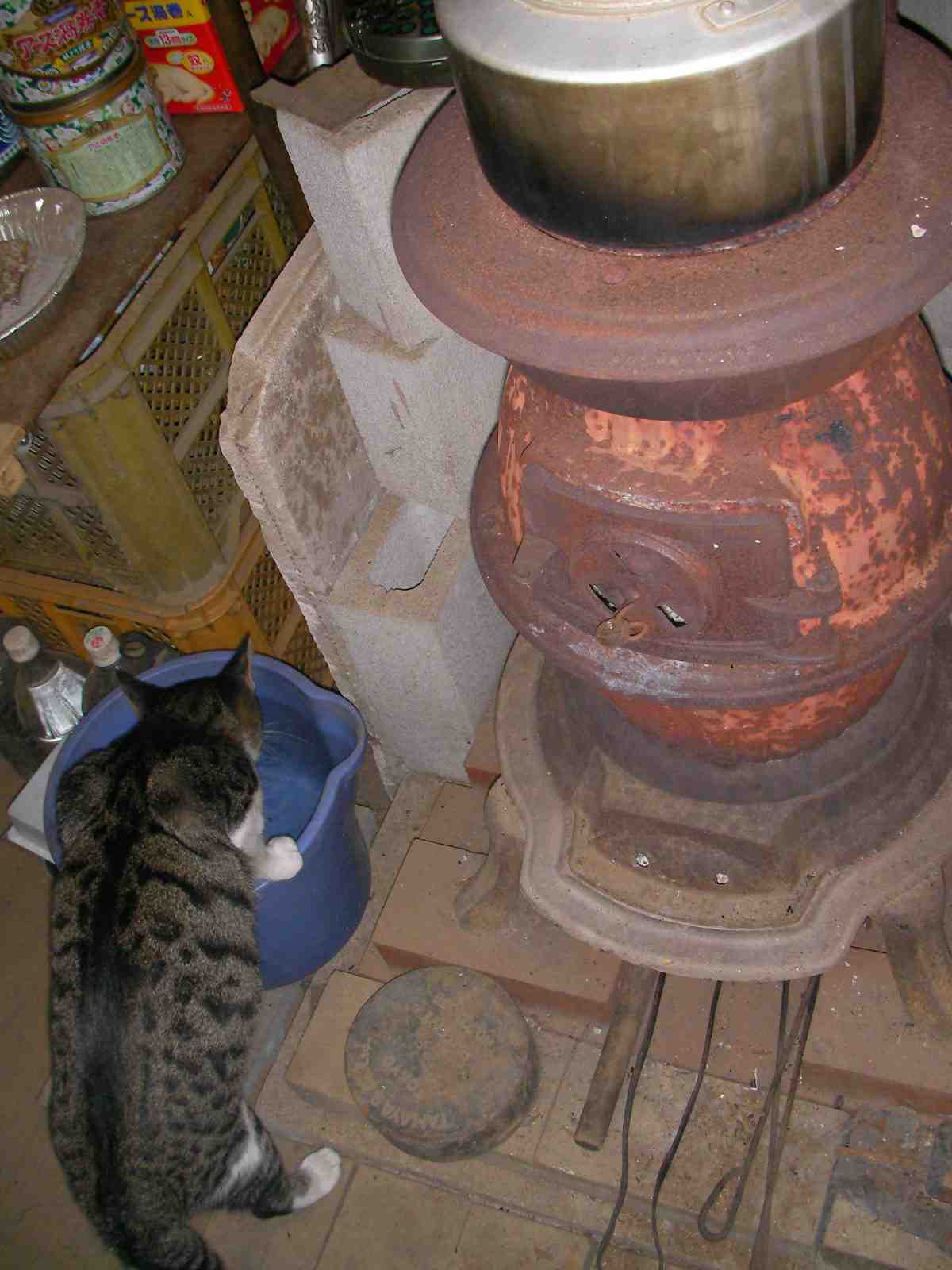 �˂��˂��ɂ�