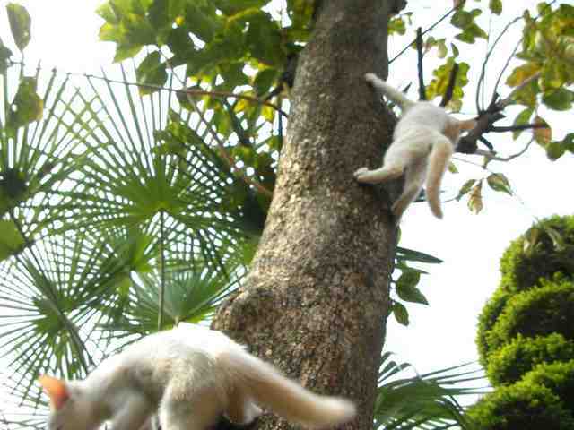 �˂��˂��ɂ�