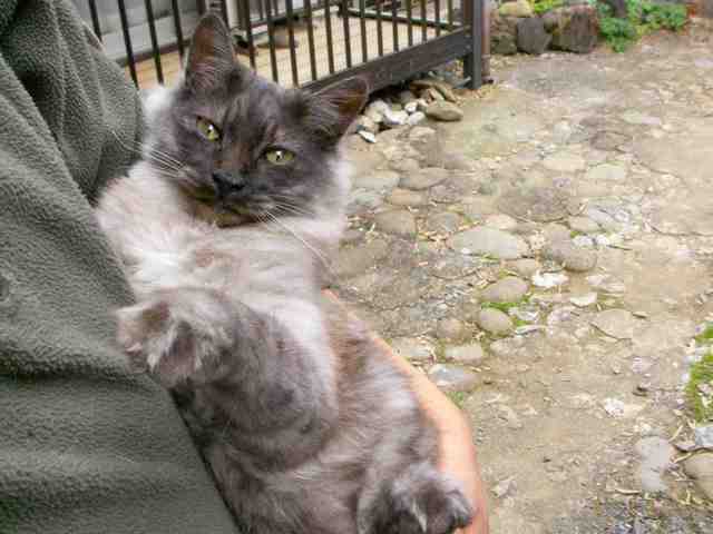 �˂��˂��ɂ�