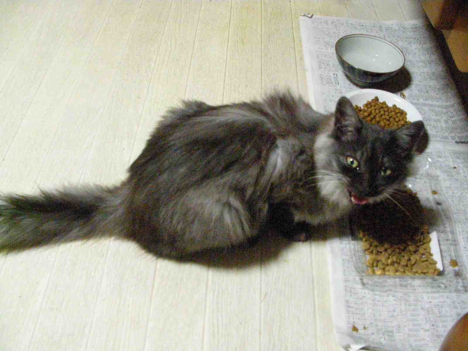 �˂��˂��ɂ�