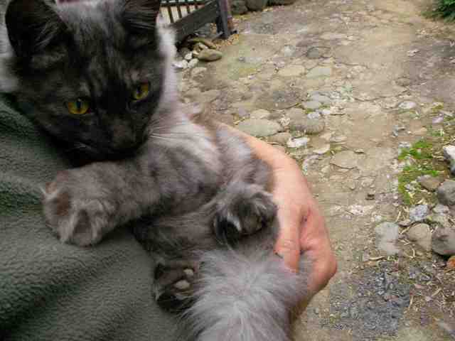 �˂��˂��ɂ�