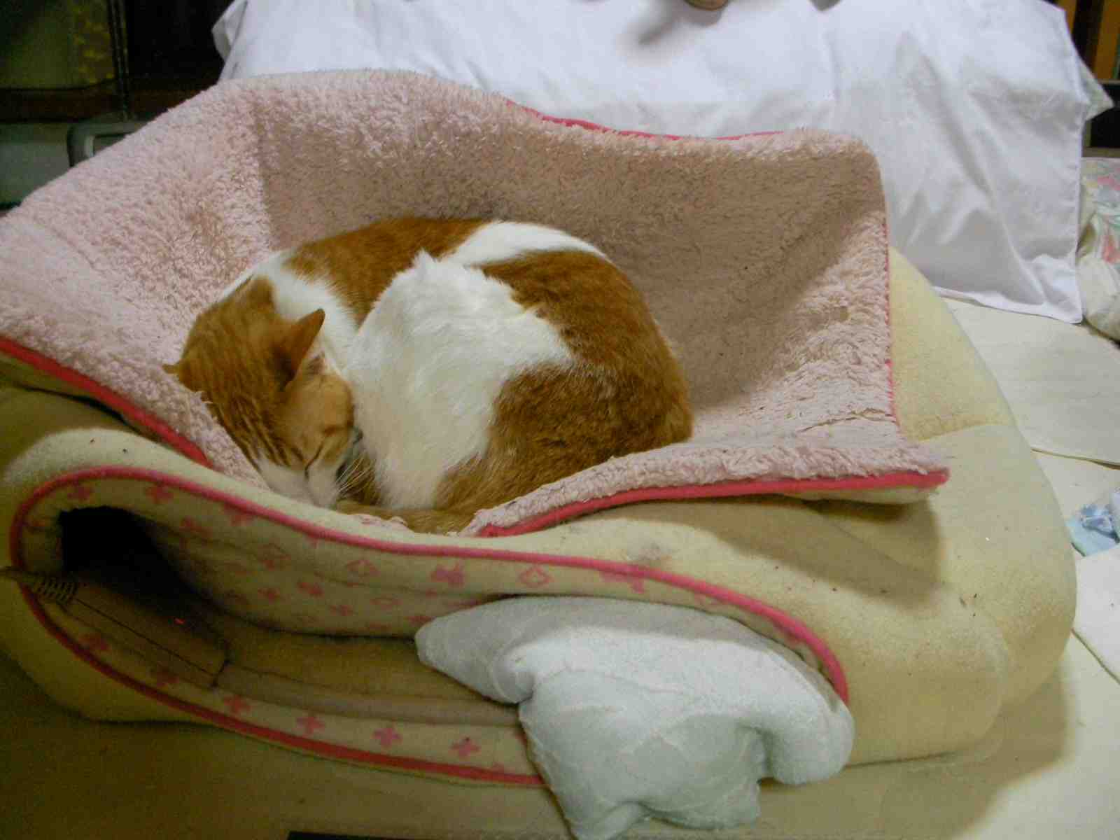 �˂��˂��ɂ�