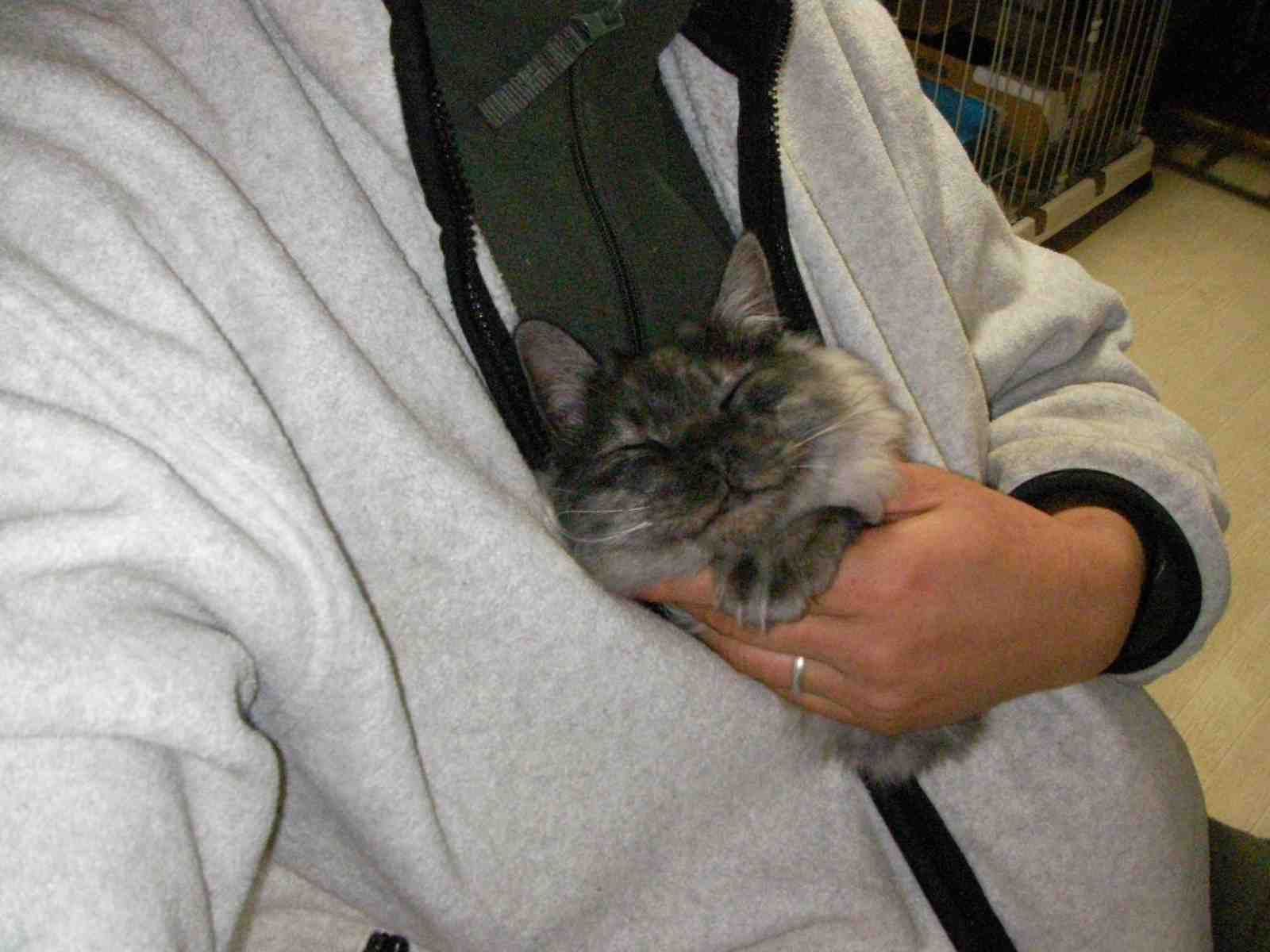 �˂��˂��ɂ�