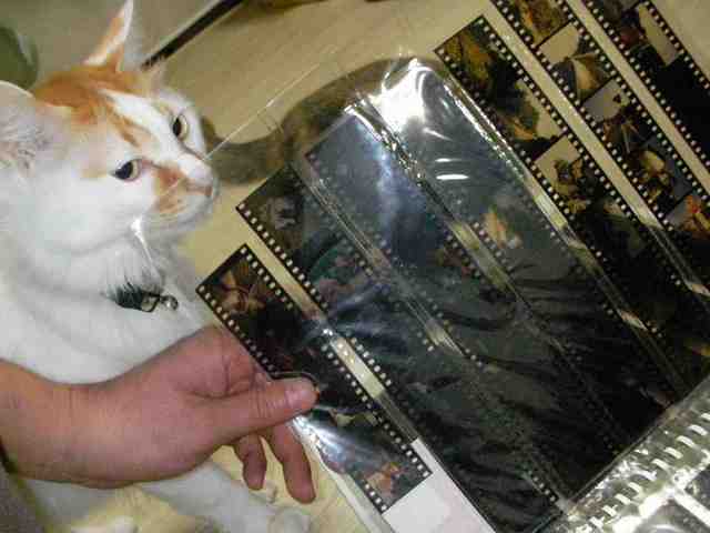 �˂��˂��ɂ�