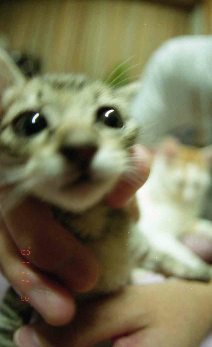 �˂��˂��ɂ�