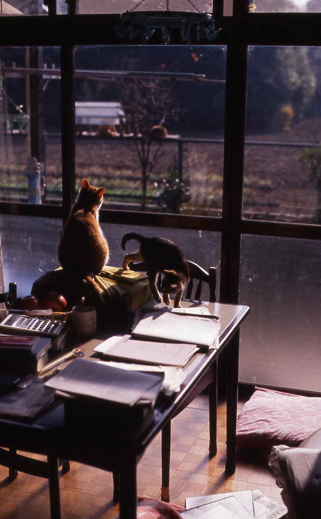 �˂��˂��ɂ�