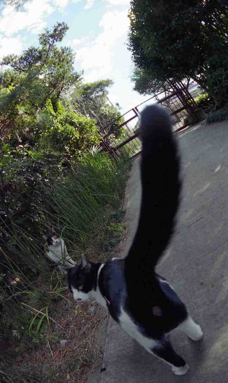 �˂��˂��ɂ�