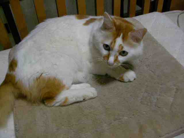 �˂��˂��ɂ�