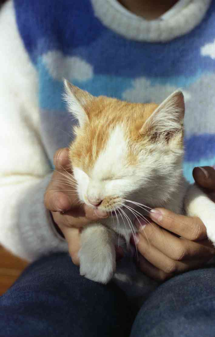 �˂��˂��ɂ�