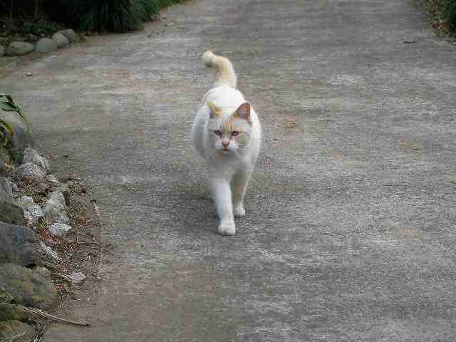 �˂��˂��ɂ�