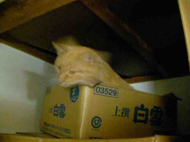 �˂��˂��ɂ�