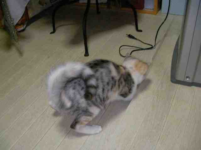 �˂��˂��ɂ�