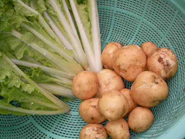 �˂��˂��ɂ�