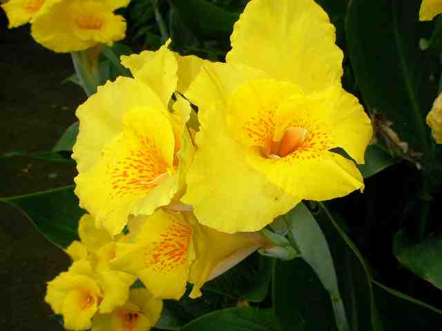 �˂��˂��ɂ�