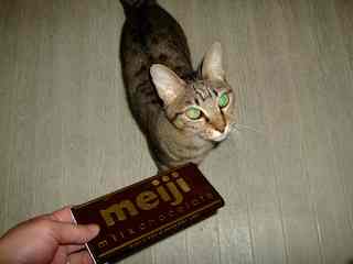 �˂��˂��ɂ�